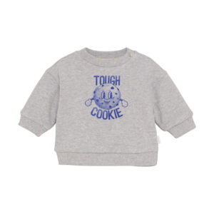 Boys Sweater Sardesi long sl. Grey