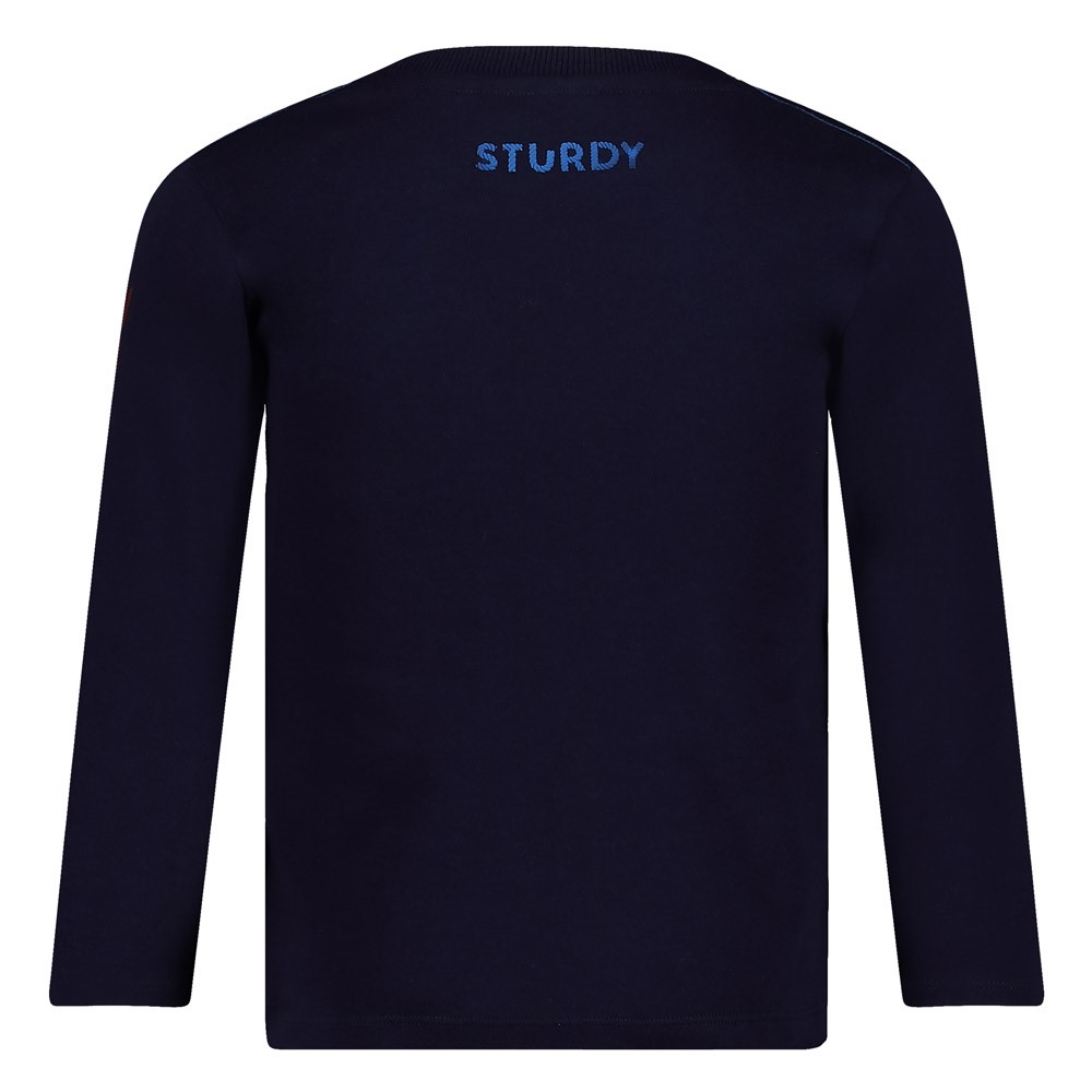 Longsleeve - Waves and Whales