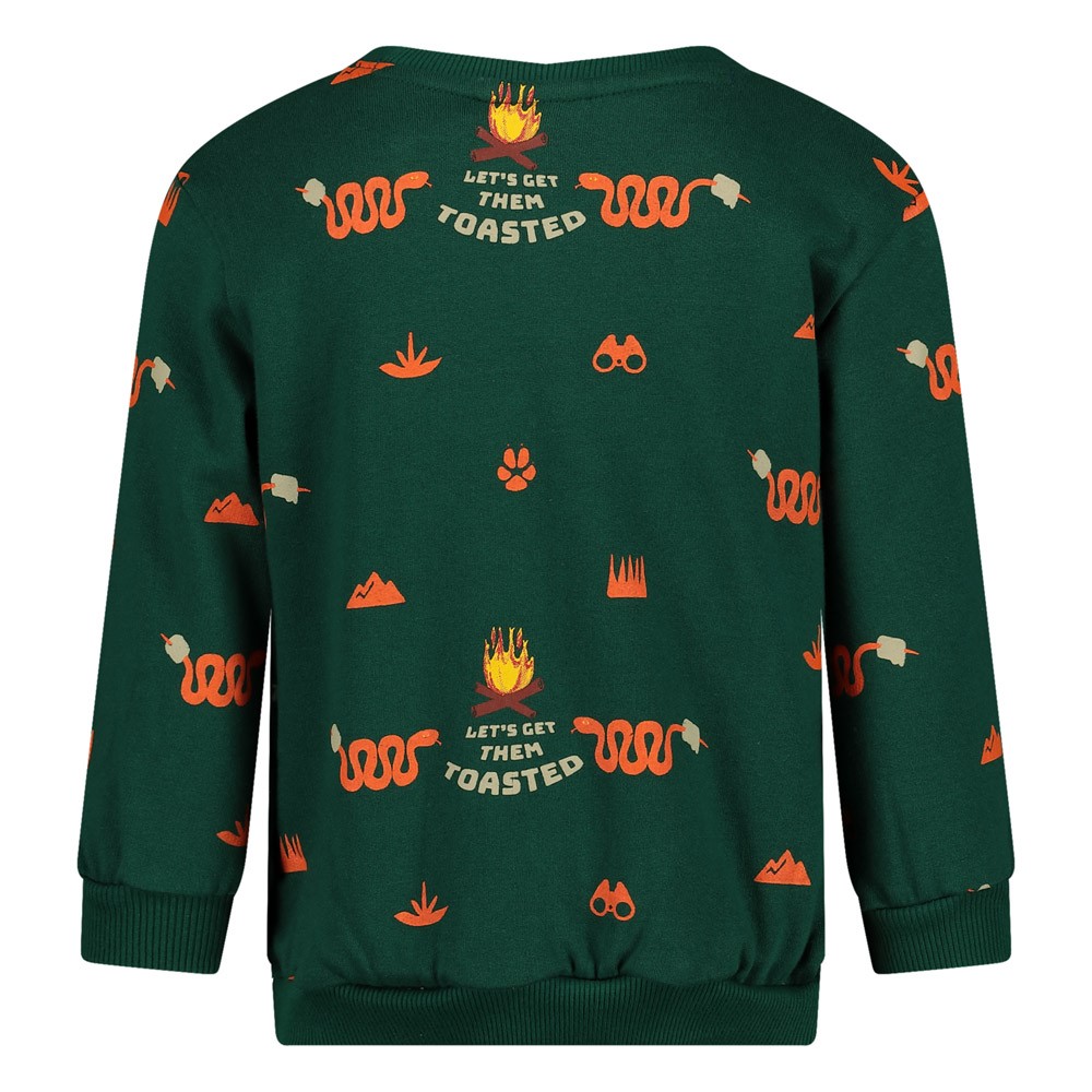 Sweater AOP - Chasing Trails groen