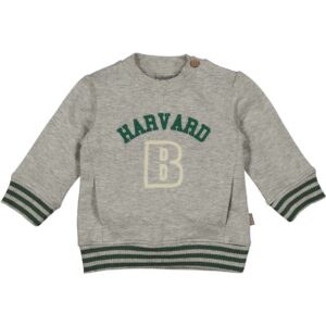 Sweater Harvard