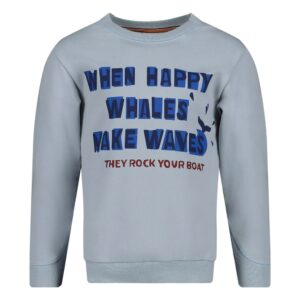 Sweater - Waves and Whales blauw