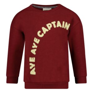 Sweater - Waves and Whales bordeaux