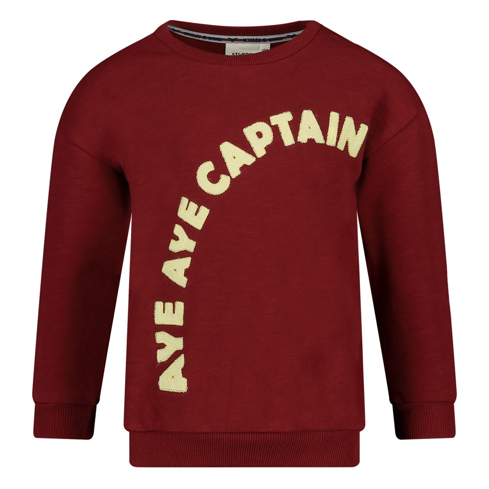 Sweater - Waves and Whales bordeaux