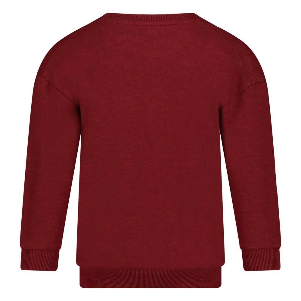 Sweater - Waves and Whales bordeaux