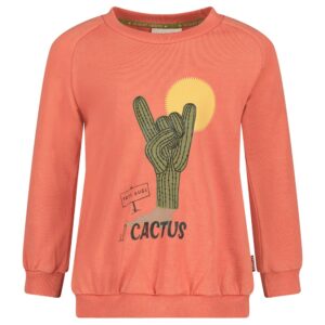 Sweater - Desert Fiesta