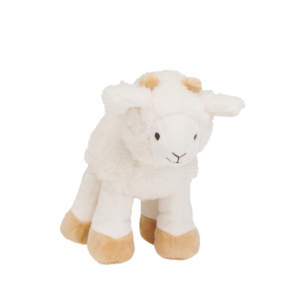 Churro Sheep no. 1