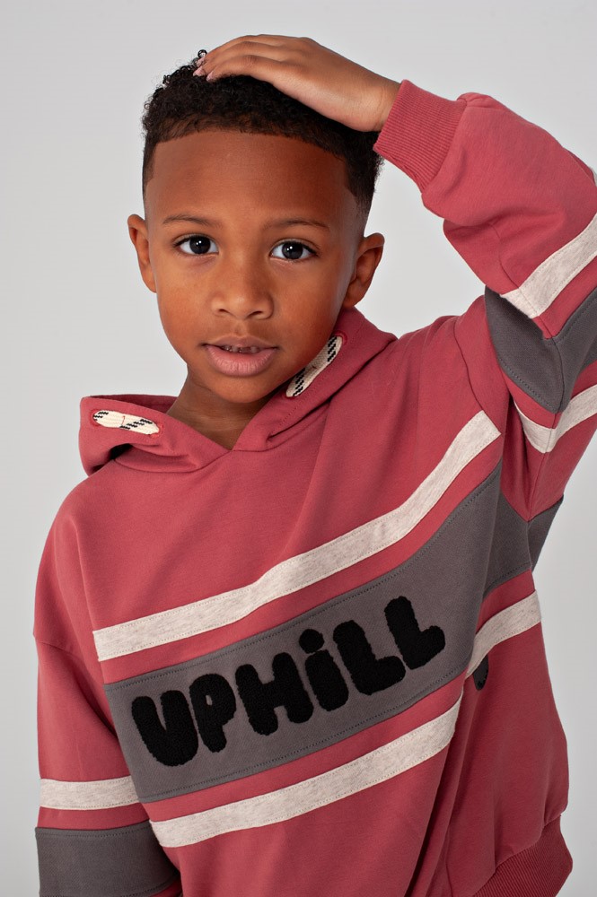 Hoody oversized - Mountain top
