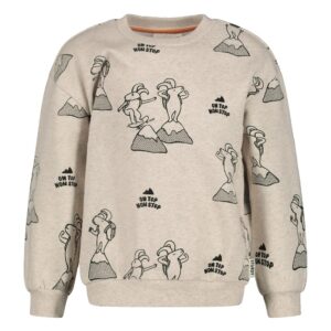 Sweater AOP relaxed fit - Mountain top